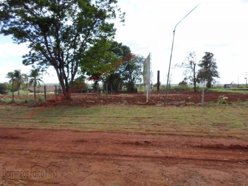 PRóXIMO A ANTIGA PAMONHA SENTIDO AMERICANA LIMEIRA - Limeira/SP