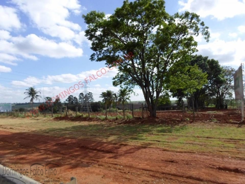 PRóXIMO A ANTIGA PAMONHA SENTIDO AMERICANA LIMEIRA - Limeira/SP